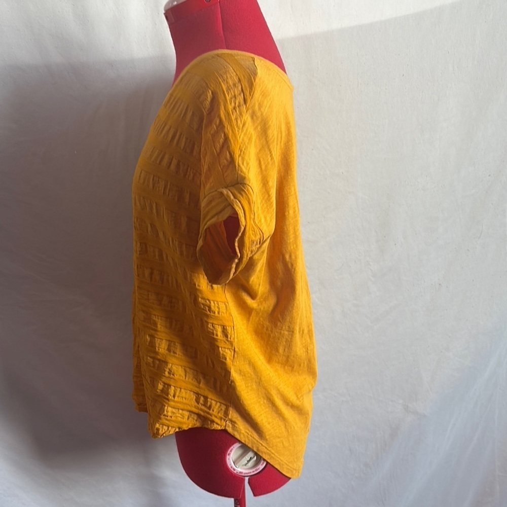 Cleo Gold Ribbed Short Sleeve Blouse SM356 - Picture 4 of 6